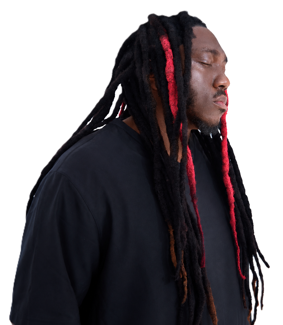 KING STUNNA in profile